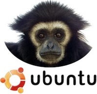 ubuntu-gibbon